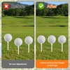 Lyreh Golf Tee Height Adjuster, Precision Tee Height Setter Gauge