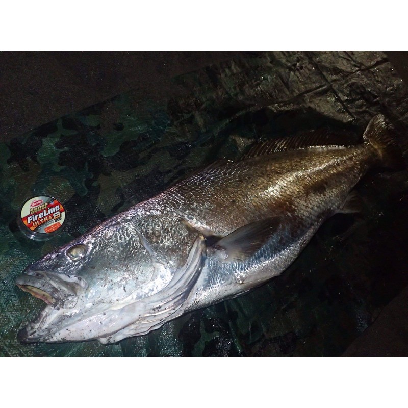 Berkley Super Fireline Ultra 8 No. 2.0 / 30lb, 150m