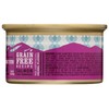 I and Love and You Salmon Chunky Gravy, 3 OZ
