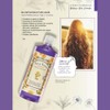SHAMPOO AJO Y ARNICA 1000 ML.