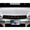 Vanity Aluminum Front License Plate (Blue and White Floral)