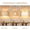 Beser·Win Plug in Pendant Light Rattan Hanging Lights with Plug