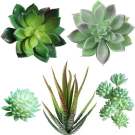 Supla 5 Pcs Assorted Artificial Succulents Plants Unpotted Small Green Cactus Echeveria Picks Fake Succulents Bulk for Succulent Garden Centerpiece Wreath Floral Arrangement Indoor Outdoor Home Décor
