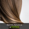 Base Acondicionador Líquido Lts Personalizable Suave Cabello Brillo Radiante