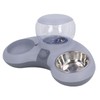 Double Cat Bowls Pet Food and Water Bowl Set Tilted