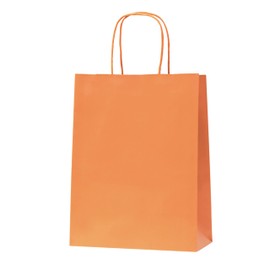 Nexmint Orange Gift Bag 8"x10.5": 48 Pack Bulk Medium Kraft Paper Bags with Handle. Great for Holiday Party, Autumn Festivities, Favors, Goodie, Candies, Shopping, Business, Retail