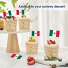 AhfuLife Different Countries Toothpick Flag, 200 Pcs Mini Flags on