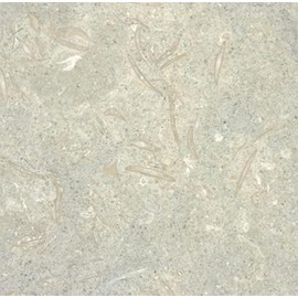 12x12 Seagrass Limestone Honed Wall Floor Tile (1 Tile; 1sf)