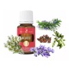 Young Living Aceite Esencial Melrose Young Living