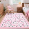 GarveeHome Coquette Pink Rugs for Bedroom Girls, 3x5 Rug for