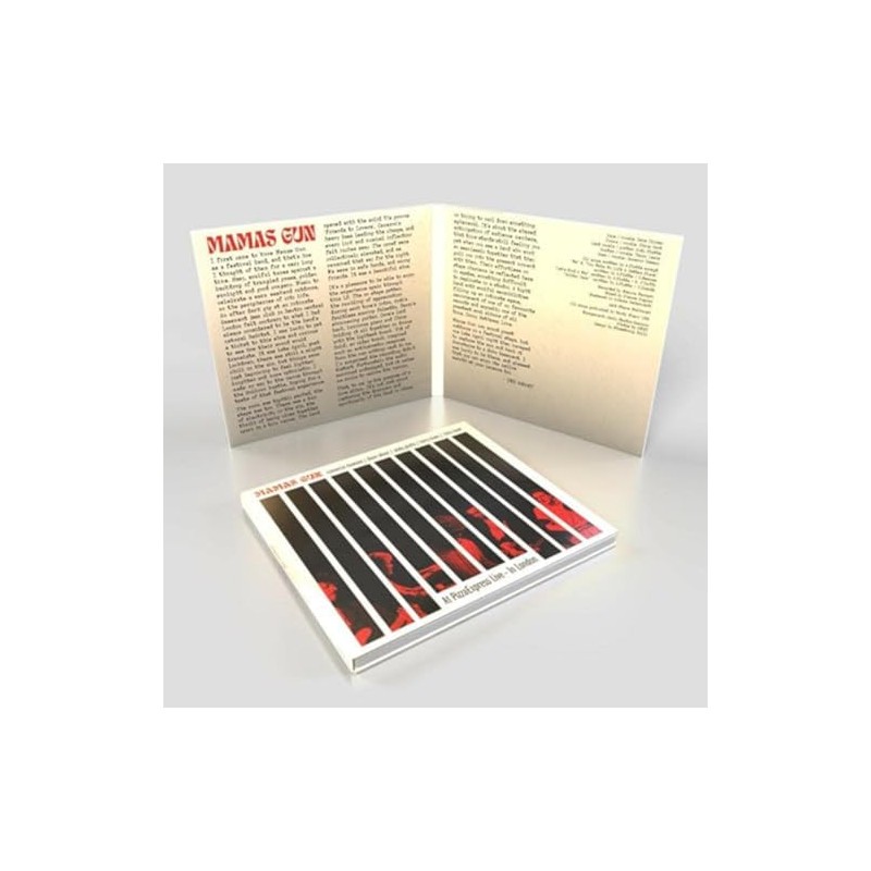 Mamas Gun At Pizzaexpress Live In London