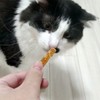 Petio Plant Additive-Free Dental Gum with Neko-chan Toothpaste, Tuna Flavor,