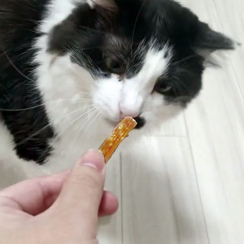 Petio Plant Additive-Free Dental Gum with Neko-chan Toothpaste, Tuna Flavor,