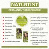 Naturtint 8C Copper Blonde Permanent Hair Color (Pack of 1),
