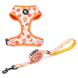 Dog Cat Harness and Leash Set, Puppia Soft Mesh Padded and Adjustable Puppy Vest Cute Dog Clothes Escape Proof Easy Walk Pet Accessories (Grapefruit, L (Neck 15.7"-21"; Chest 19.6"-28.3"))