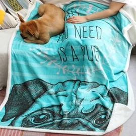 Famitile Pug Kids Sherpa Fleece Throw Blanket, Cute Cartoon Pug Plush Throw Blanket Super Soft Warm Bed Sofa Chair Throw for Kids and Adults (Pug-1, 47" x 60")