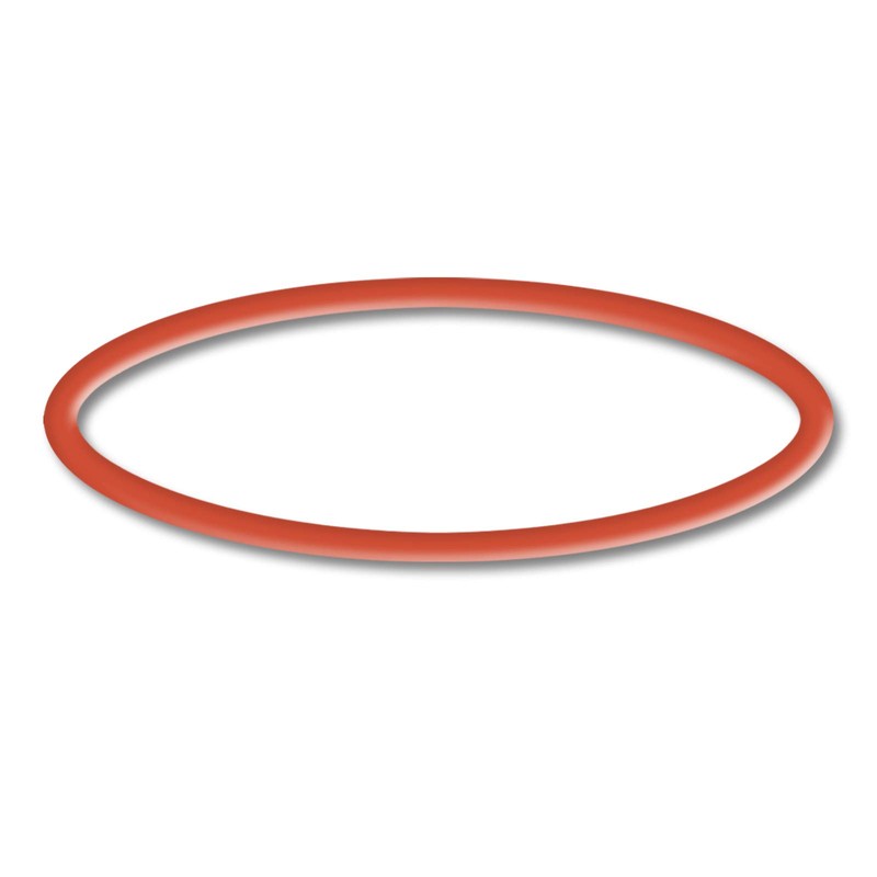 Replacement Part for SunSun CPP-10000 Pool Pump O-Ring 2 Pool