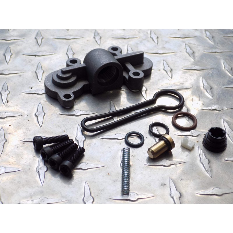 Upgraded Fuel Pressure Regulator - Blue Spring Kit for 6.0l