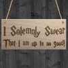 RED OCEAN Solemnly Swear No Good Wizardry Hanging Plaque Magic