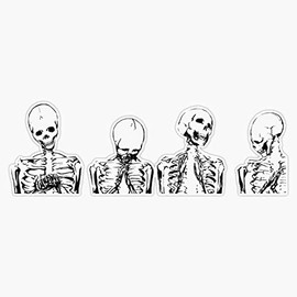 TCT Trading Skull/Skeleton Aesthetic Vinyl Stickers Waterproof Decal Car, Laptop, Bumper Stickers 5"