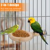 Bird Perch with Feeding Cup, Wood Stand and Cage Accessories