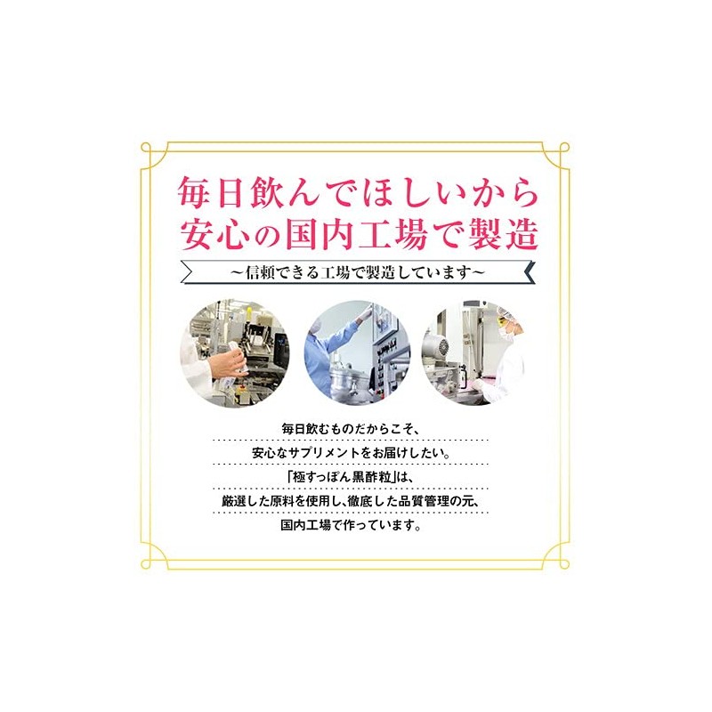 極・すっぽん黒酢粒 90粒 スッポン すっぽん サプリメント 黒酢 黒にんにく 黒ニンニク アミノ酸 クエン酸