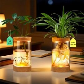 2Pcs Plant Propagation Station with Mountain-Shaped Bottom - Hydroponic Glass Vases, Wooden Base with Lighting, Terrarium Jars for Indoor Growing, Desktop Vivarium, Ideal Gifts for Plant Lovers