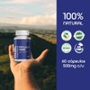 BULK SUPERFOODS Psyllium Husk 100 Natural Suplemento Alimenticio