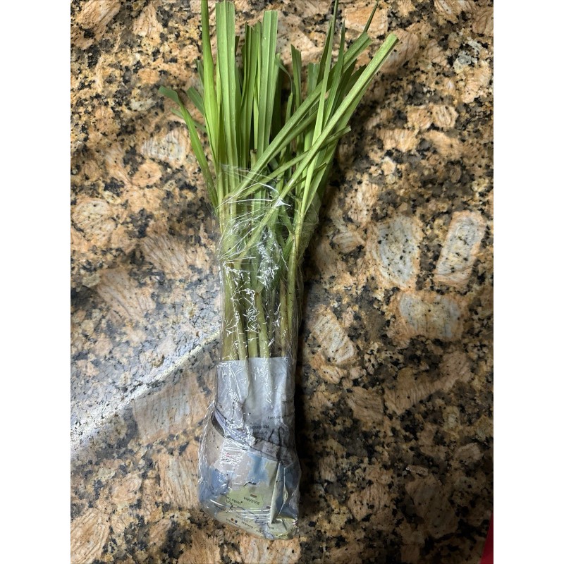 Roots 3 Lemongrass Stalks Fully Rooted Ready To Plant (Organic)