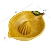 Creative Co-Op Countryside Citrus Stoneware Lemon Juicer, Multicolor