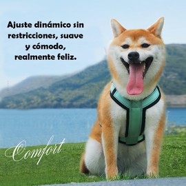 UNA MASCOTA Arnés para Perros Reflectante y Transpirable - Correa de Pecho Cómoda para Perros con Correa 1.5m (Verde Menta, L)