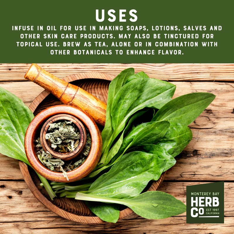 Dried Plantain Herb Leaves Cut & Sifted, by Herb Co,