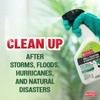 Mold Armor Mold Preventer, Disinfectant and Flood Cleanup, 1 gal.,
