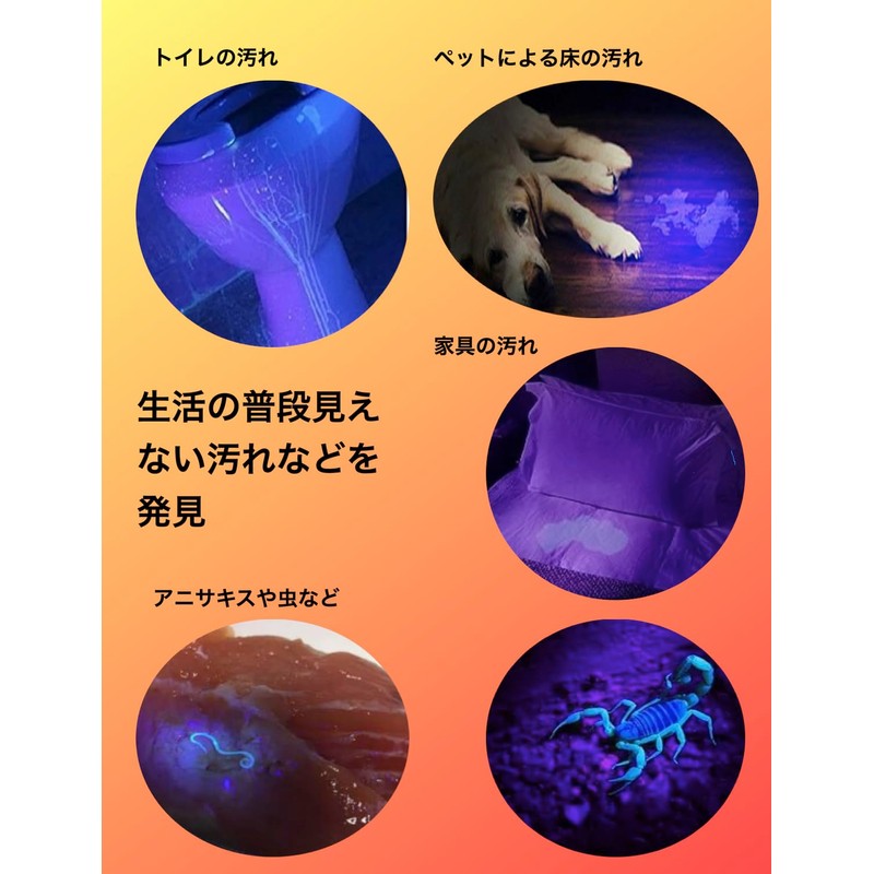 Black Light, UV Light, Ultraviolet Light, Invisible Dirt and Anisakis