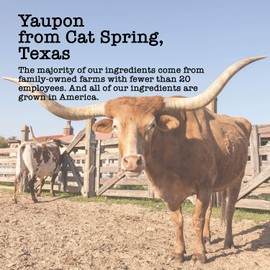 Super Antioxidant Green Tea, 100+ Servings, Eco-Conscious Zip Pouch, Contains Caffeine, Pure Loose Leaf Tea Grown in America, 14 Ounce (Large)