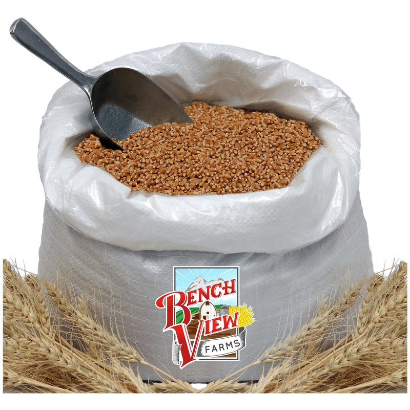 Organic Hard Red Wheat Berries - 24lbs