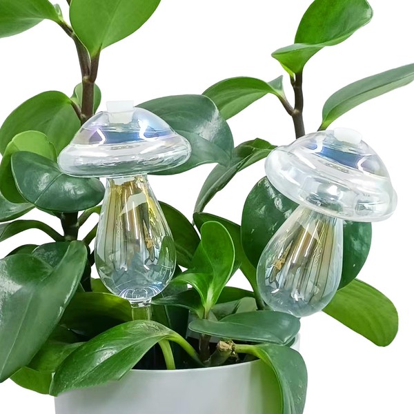EODELLY 2 Pcs Glass Self Watering Globes, Iridescent Automatic Plant