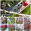 HyleJhJy Pruning Shears with Stainless SK5 Steel Blades+Straight Tip Gardening
