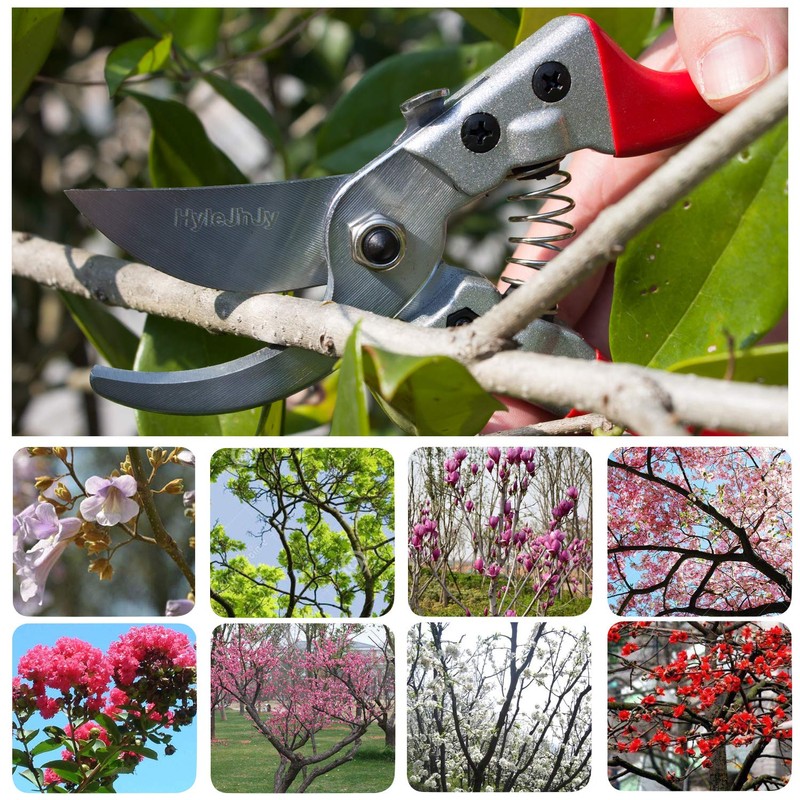 HyleJhJy Pruning Shears with Stainless SK5 Steel Blades+Straight Tip Gardening