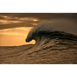 O'Neill Women's Round Eyeglass Frame (Model ONO-4530-104) Made of Tr90 (Includes Glasses Case)