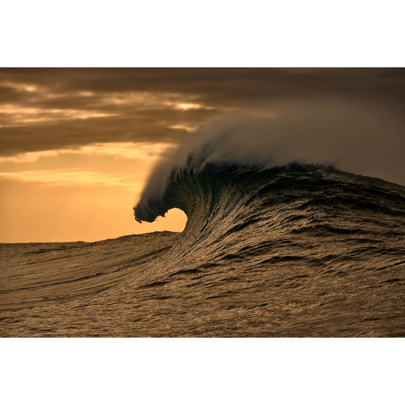 O'Neill Women's Round Eyeglass Frame (Model ONO-4530-104) Made of Tr90