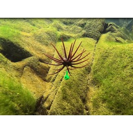 QualyQualy Squirm Fishing Lure for Freshwater and Saltwater Lifelike Fishing Lures 3.95 INCH Soft Plastic Swimbait for Bass Pike Trout