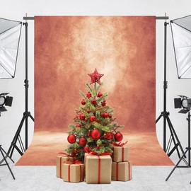 Haboke Abstract Professional Photography Backdrop for Portrait Photo Props Booth Background Photoshoot Studio with Ployester Fabric Roller Pocket on Top(8x12ft,Brick Red)