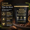 High Flavanol Cocoa Powder 245g, 1200mg Cocoa Flavanols & Flavonoids