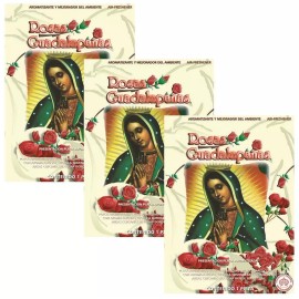 EIVY'S De Mexico  LA CHICA FRESITA Rosas Guadalupana Car Air Freshener Deodorant Aromatizante 3pc