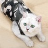 AEITPET Recovery Suit Cat, Pet Protection Clothing Recovery Suit Vest,