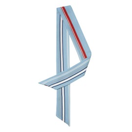 Allegra K Neckerchief, Striped, Polka Dot, Hair Ornament, Rectangle, Thin, Silk-like, Office, Women's, blue (sky blue)