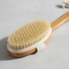 Cepillo Corporal Exfoliante Cuerpo Piel Masaje Circulación