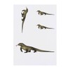 4 x 'Komodo Dragon' Temporary Tattoos - Water Resistant, Skin-Safe,