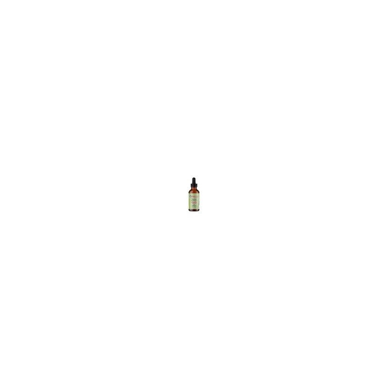 Yh Amielle Organics Fortalecedor Capilar Biotinano Z